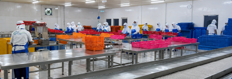 Processing Area 7